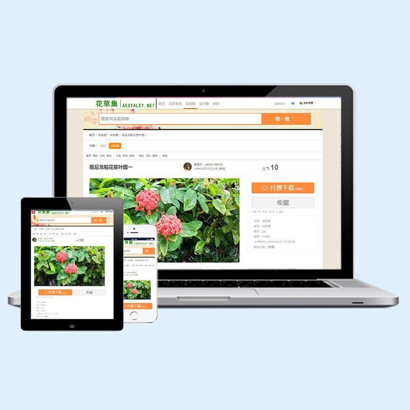 phpwind9x精品素材下载站风格模板下载
