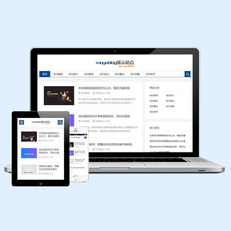 dedecms响应式SEO教程资讯类网站织梦模板(自适应手机端)源码下载D41